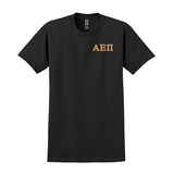 Alpha Epsilon Pi Fraternity Embroidered Greek Letter Gildan T-shirt