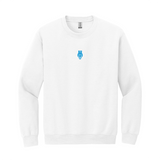 Wear your Kappa Kappa Gamma letters with aspiration in this enduring style Gildan crewneck sweatshirt. It features your beautiful ΚΚΓ Owl design meticulously embroidered on the center chest in blue.