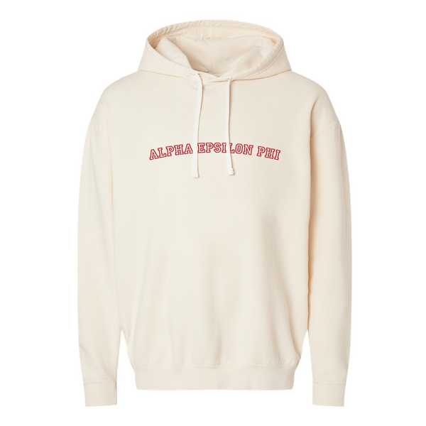 Alpha Epsilon Phi Sorority Fall Essentials Hoodie