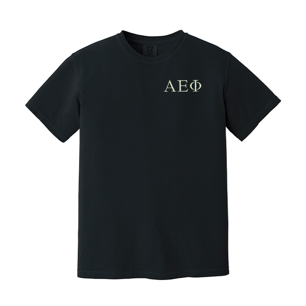 Alpha Epsilon Phi Sorority Embroidered Greek Letter Comfort Colors T-shirt