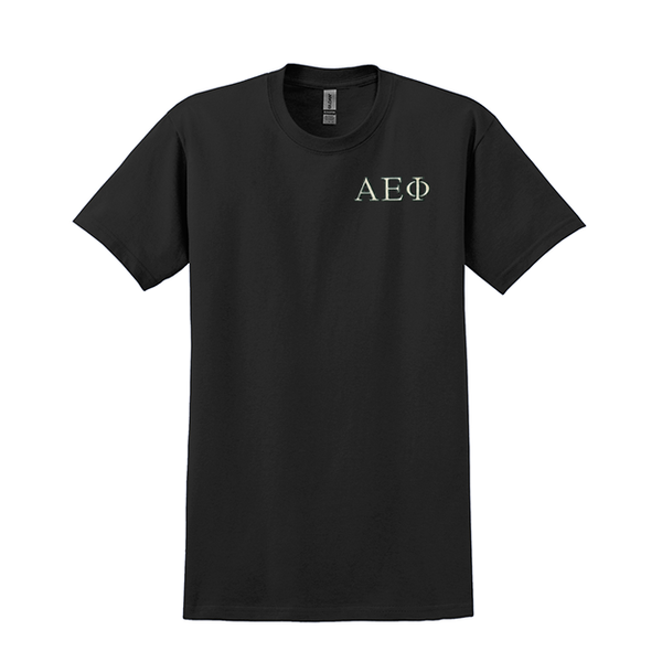 Alpha Epsilon Phi Sorority Embroidered Greek Letter Gildan T-shirt
