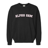 Alpha Gamma Delta Sorority Varsity Basics Crewneck Sweatshirt