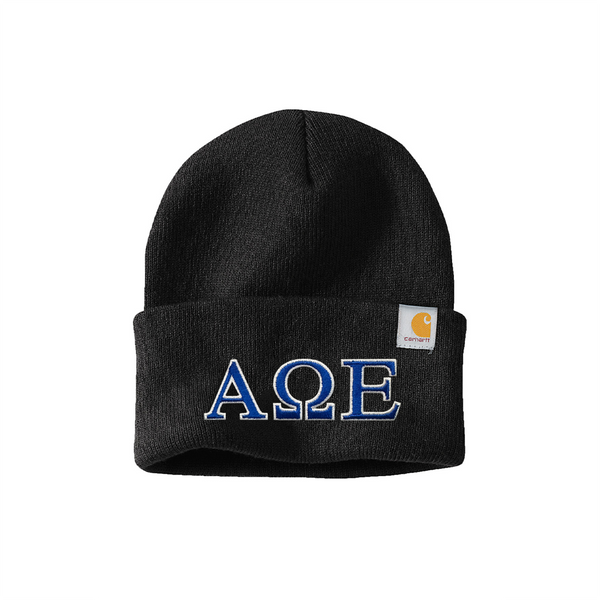 Alpha Omega Epsilon Sorority Embroidered Greek letters Carhartt Watch Cap