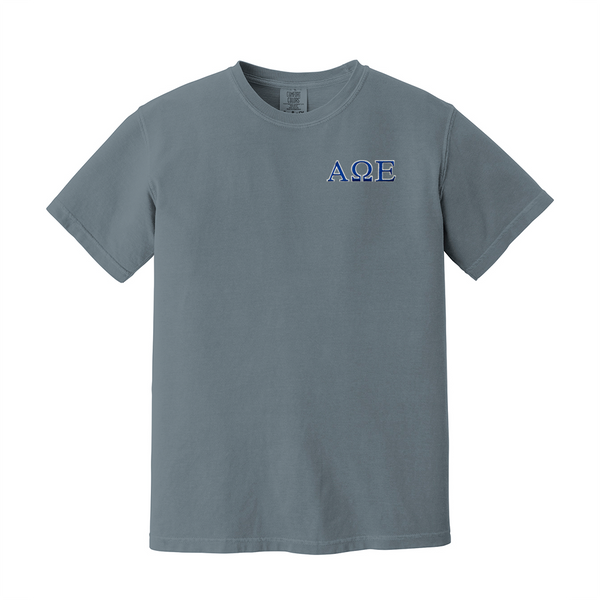 Alpha Omega Epsilon Sorority Embroidered Greek Letter Comfort Colors T-shirt