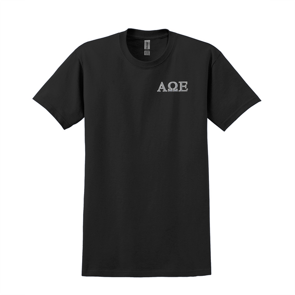 Alpha Omega Epsilon Sorority Embroidered Greek Letter Gildan T-shirt