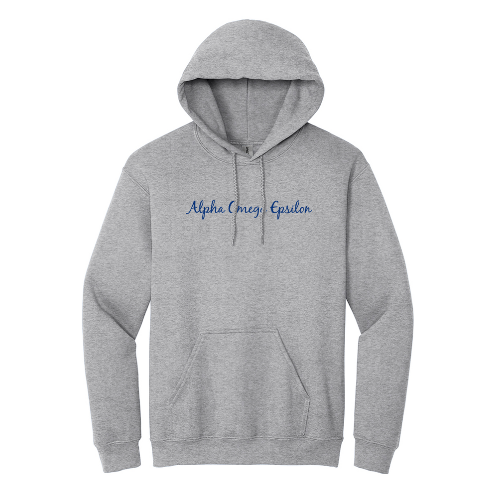 Alpha Omega Epsilon Sorority Embroidered Script Hoodie