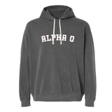 Alpha Omicron Pi Sorority Varsity Basics Hoodie