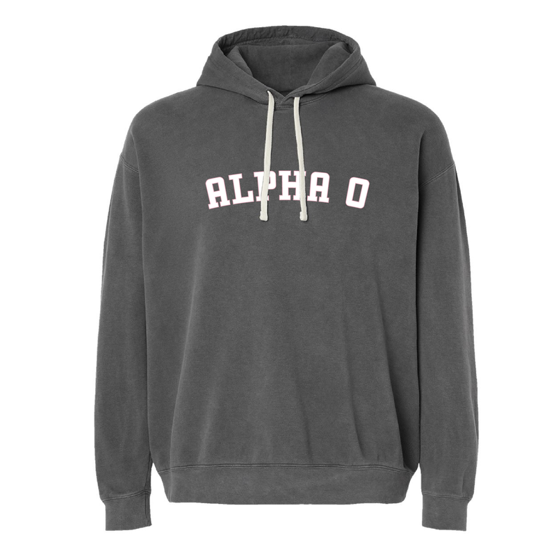 Alpha Omicron Pi Sorority Varsity Basics Hoodie