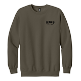 Alpha Omicron Pi Sorority Established Crewneck Sweatshirt