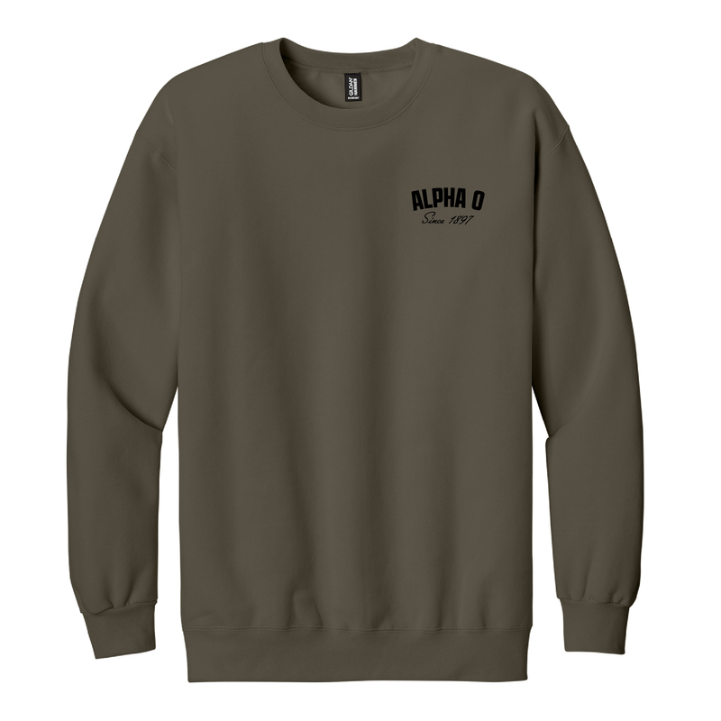 Alpha Omicron Pi Sorority Established Crewneck Sweatshirt