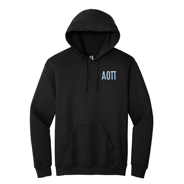 Alpha Omicron Pi Sorority Embroidered Greek Letters Gildan Hoodie