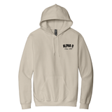 Alpha Omicron Pi Sorority Established Hoodie
