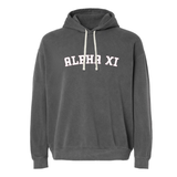 Alpha Xi Delta Sorority Varsity Basics Hoodie