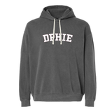 Delta Phi Epsilon Sorority Varsity Basics Hoodie