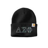 Delta Sigma Phi Fraternity embroidered Greek letters Carhartt Watch Cap