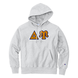 Delta Upsilon Fraternity Champion Reverse Weave Greek Letter Hooded Sweatshirt
