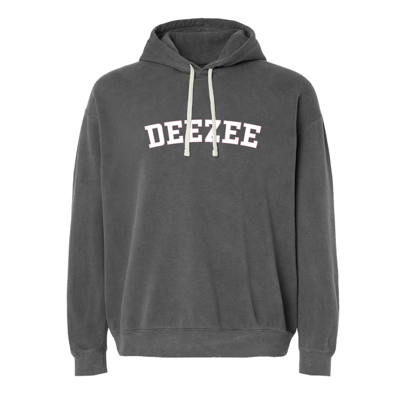 Delta Zeta Sorority Varsity Basics Hoodie