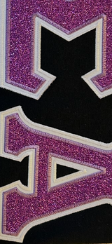 Sorority Glitter Greek Letter Hoodie