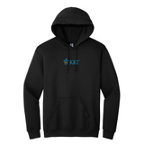 Wear your Kappa Kappa Gamma letters with aspiration in this enduring style Gildan hoodie. It features your beautiful ΚΚΓ Horizontal Fleur De Key design meticulously embroidered on the center chest in blue and gold