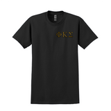 Phi Kappa Sigma Embroidered Greek Letter T-shirt