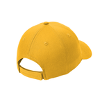Delta Tau Delta 50 Year Anniversary 6 Panel Twill Hat