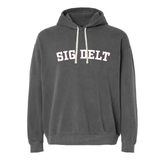 Sigma Delta Tau Sorority Varsity Basics Hoodie