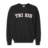 Sigma Sigma Sigma Sorority Varsity Basics Crewneck Sweatshirt